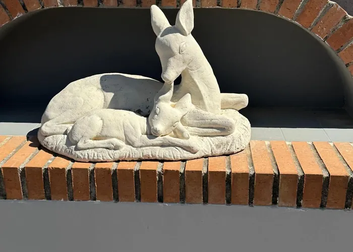El Embrujo De Granada *